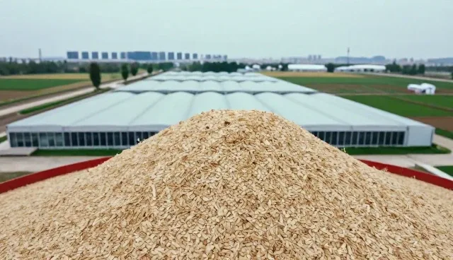 智慧农业如何重塑病虫害防治与农产品销售的协同模式